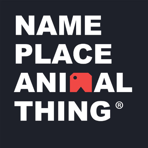 Name Place Animal Thing